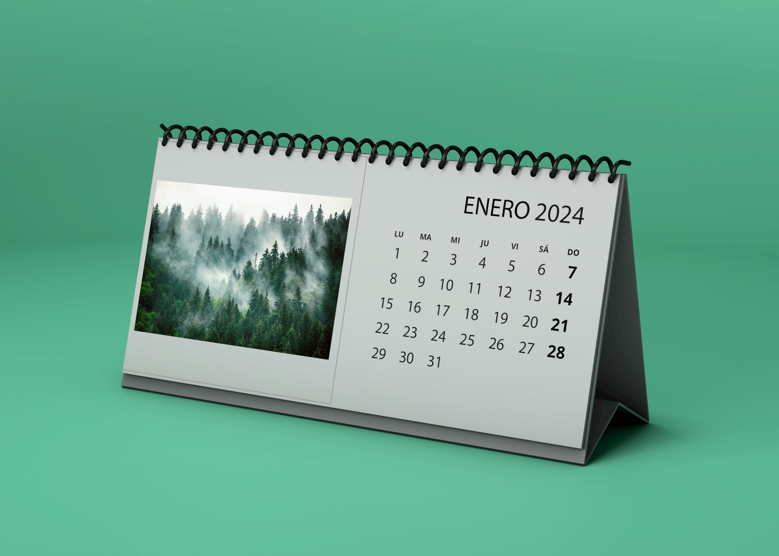calendario wire-o
