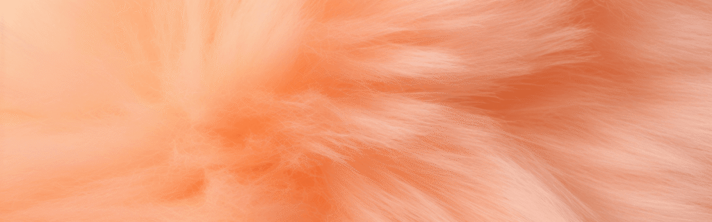 peach fuzzy|pantone peach fuzz