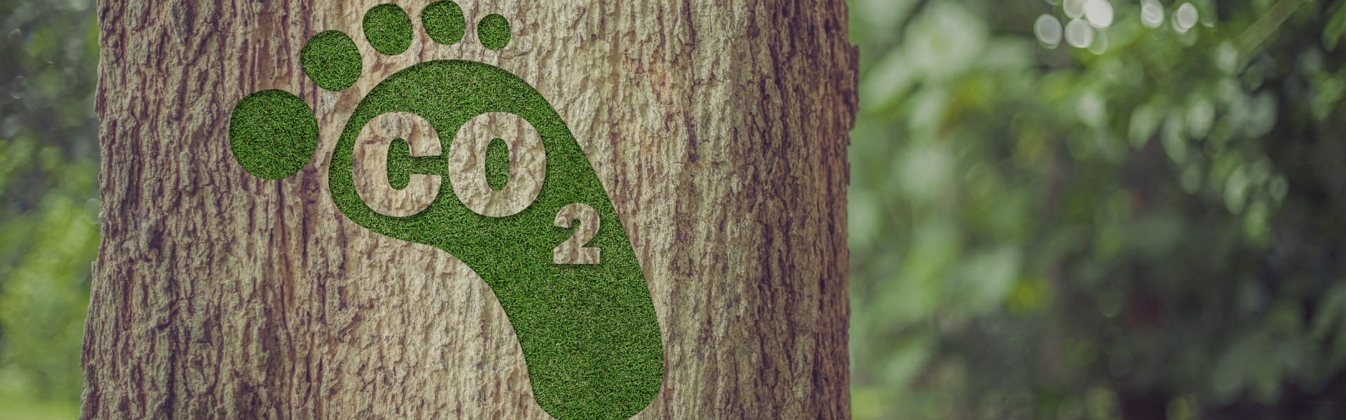 huella de carbono|huella de carbono imprenta