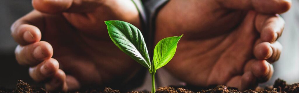 material impressió ecològic