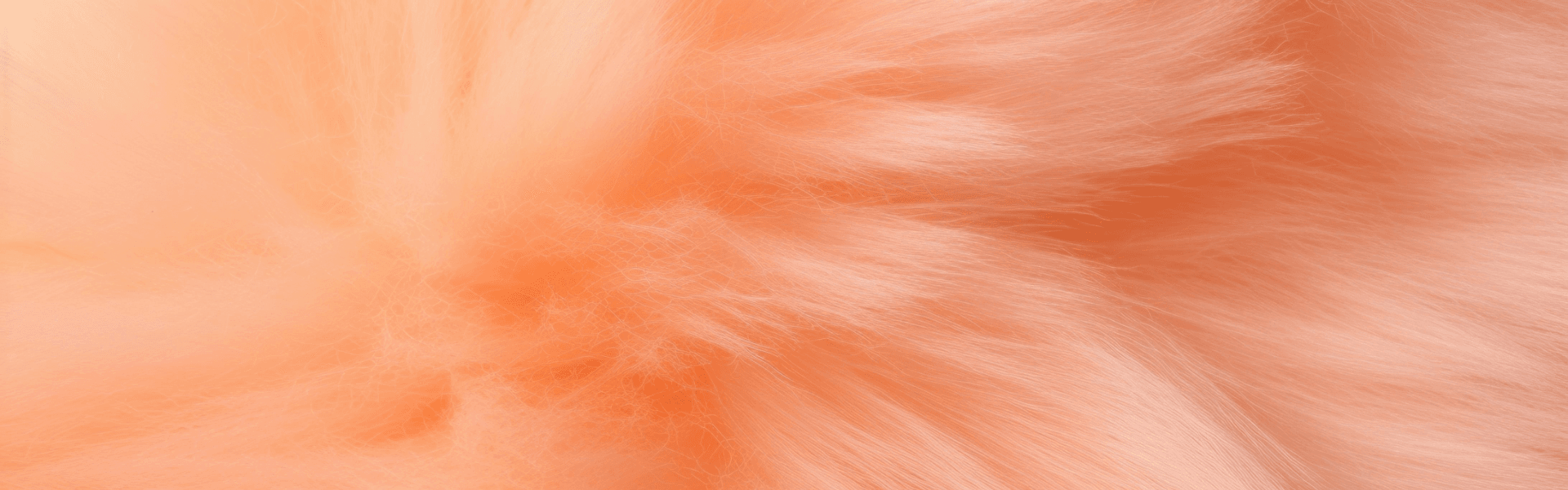 peach fuzzy|pantone peach fuzz